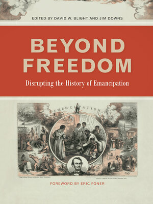 cover image of Beyond Freedom